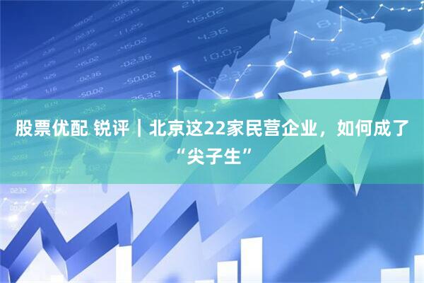 股票优配 锐评｜北京这22家民营企业，如何成了“尖子生”