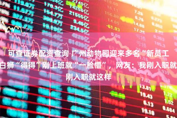 可查证券配资查询 广州动物园迎来多名“新员工”！白狮“得得”刚上班就“一脸懵”，网友：我刚入职就这样