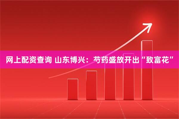 网上配资查询 山东博兴：芍药盛放开出“致富花”